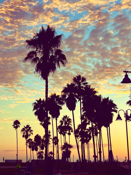 Vivid sunset on Venice Beach, CA