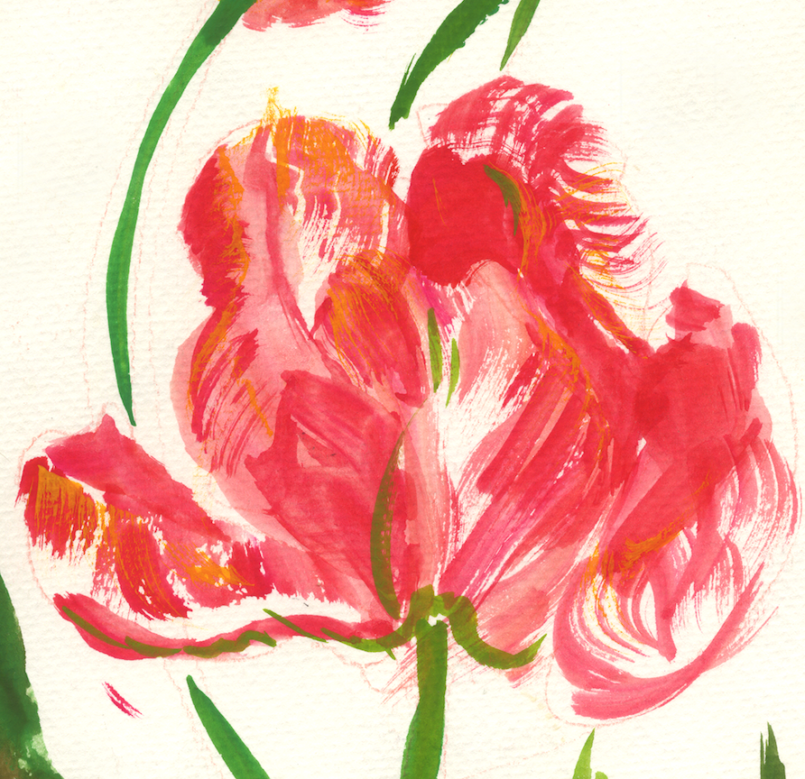 Parrot Tulips Times Three